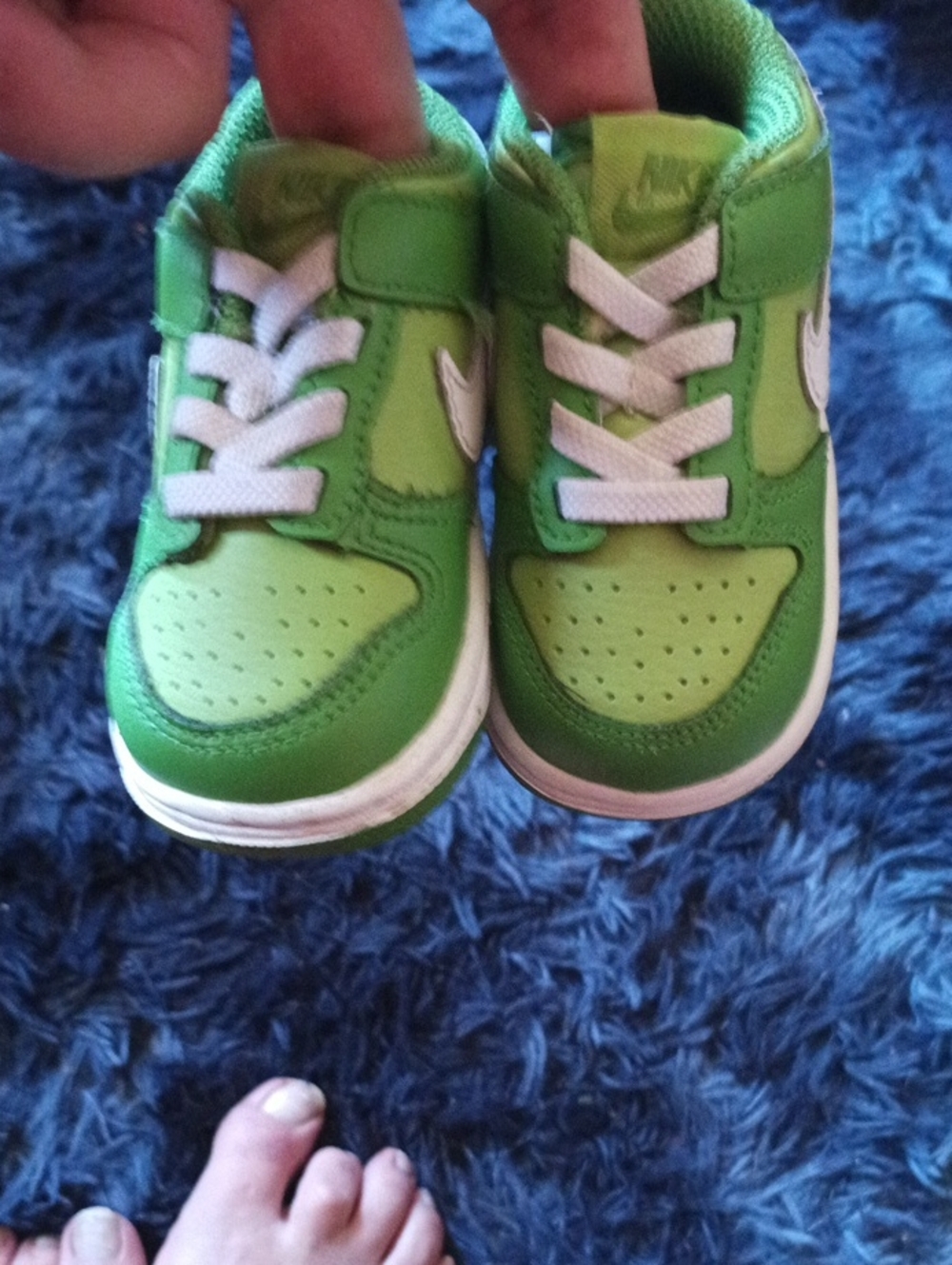 Nike Dunk Low Chlorophyll/Kermit Shoes